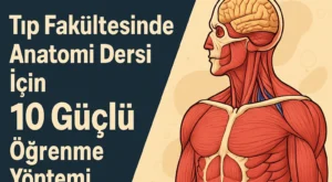 Tıp Fakültesinde Anatomi Dersi İçin 10 Güçlü Öğrenme Yöntemi Tıp Fakültesinde Anatomi Dersi İçin 10 Güçlü Öğrenme Yöntemi